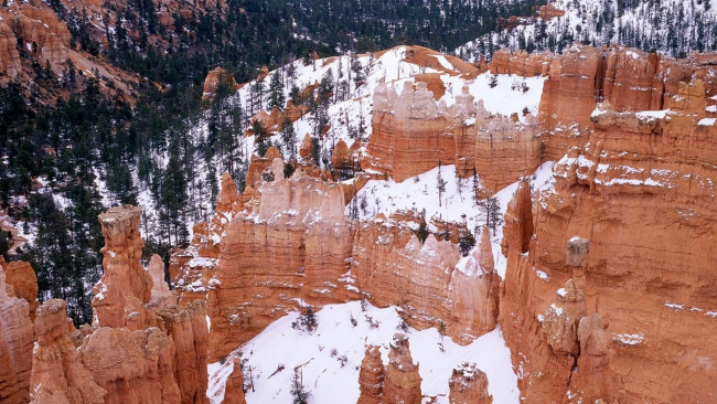 Обои картинки фото большой каньон, природа, горы, снег, америка, скалы, деревья