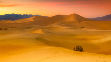 обоя природа, пустыни, песок