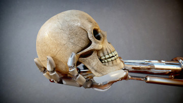 Картинка разное кости +рентген череп фон рука
