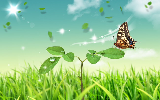Обои картинки фото разное, компьютерный дизайн, бабочка, росток, трава
