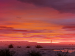 Картинка 3д графика nature landscape природа пустыння закат