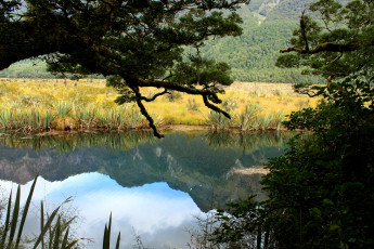 обоя природа, реки, озера, озеро, fiordland