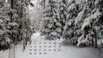 Картинка календари природа снег ель зима