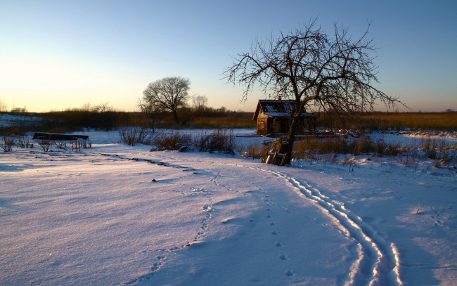 Обои картинки фото природа, зима, утро, снег, дом