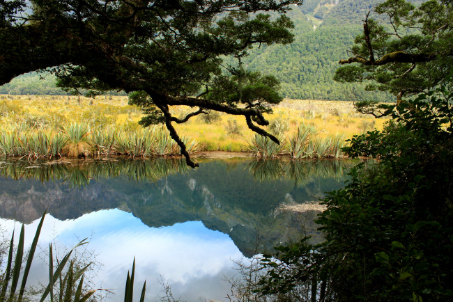 Обои картинки фото природа, реки, озера, озеро, fiordland