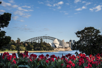 Картинка города сидней+ австралия мост оперный театр
