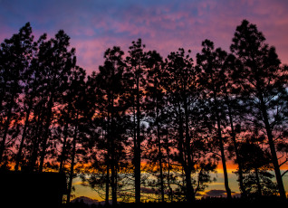 Картинка природа деревья закат небо вечер