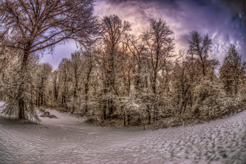 Картинка природа зима лес тучи снег