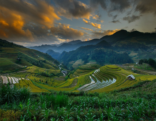 Обои картинки фото природа, поля, облака, небо, холмы, горы, вьетнам