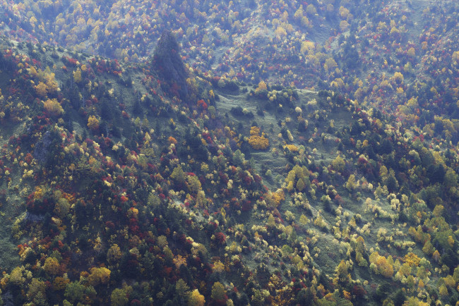 Обои картинки фото природа, лес, склоны, деревья, осень, горы, takaten