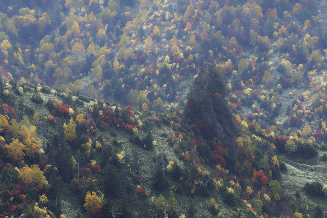 Обои картинки фото природа, лес, takaten, осень, деревья, склоны, горы