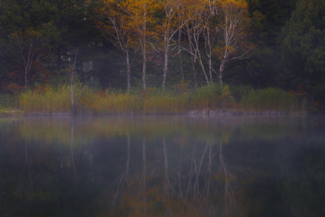 Обои картинки фото природа, реки, озера, вода, takaten, утро, деревья, туман, осень