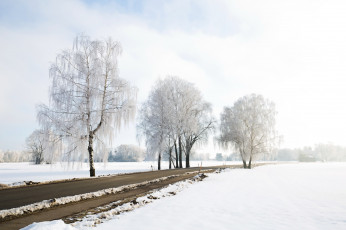 Картинка природа дороги берёзы дорога зима