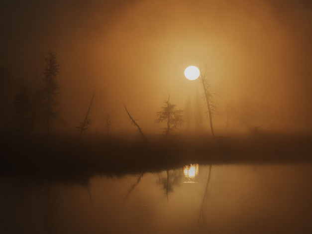 Обои картинки фото природа, реки, озера, пейзаж, вода, ночь, болото, туман