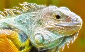 Картинка 3д+графика животные+ animals игуана ящерица