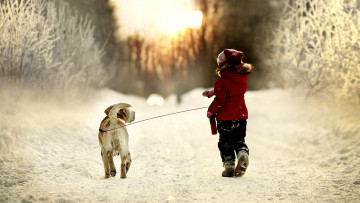 Картинка разное дети ребенок собака прогулка