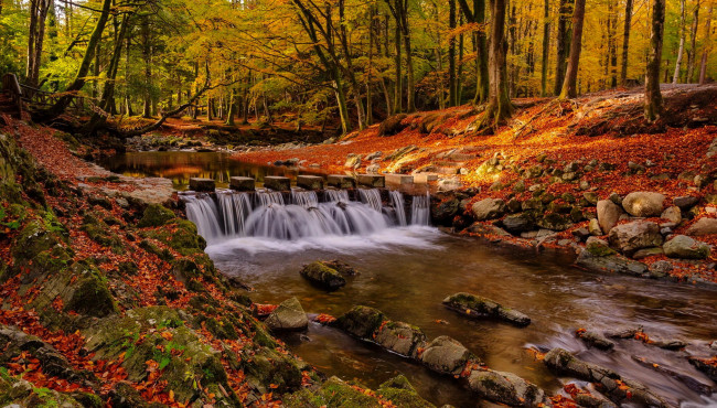 Обои картинки фото tollymore forest park, ireland, природа, водопады, tollymore, forest, park