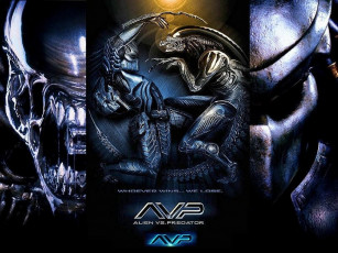 Картинка кино фильмы alien vs predator