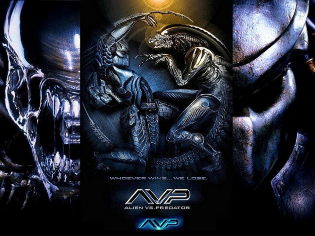 Обои картинки фото кино, фильмы, alien, vs, predator