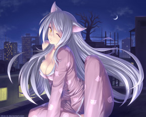 Картинка аниме bakemonogatari hanekawa+tsubasa девушка пижама ушки кошка ночь небо месяц город дома свет дерево