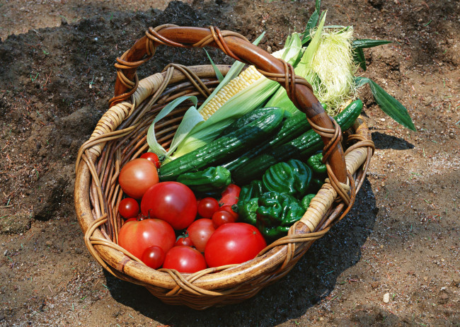 Обои картинки фото еда, овощи, помидоры, корзина, томаты