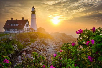 Картинка природа маяки цветы розы утро маяк скала