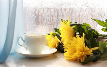 Картинка цветы хризантемы чашка окно