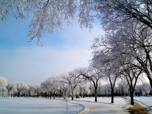 Обои картинки фото природа, зима, деревья, снег, мороз, дорога, иней