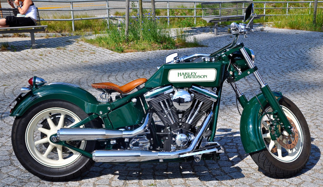 Обои картинки фото мотоциклы, harley-davidson, байк, зеленый