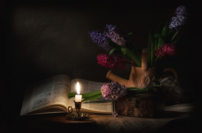 Обои картинки фото цветы, гиацинты, книга, свеча