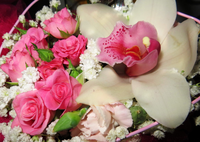 Обои картинки фото цветы, букеты,  композиции, розы, орхидеи