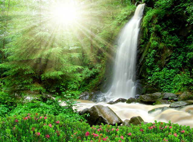 Обои картинки фото природа, водопады, цветы, лучи, водопад, трава, деревья