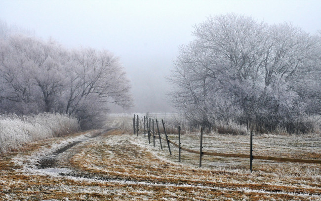Обои картинки фото природа, зима, утро, забор, туман, поле