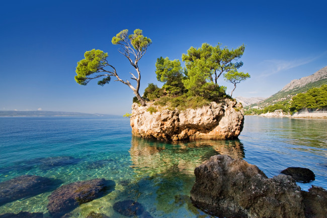 Обои картинки фото хорватия, природа, побережье, море, камни, дерево, скала