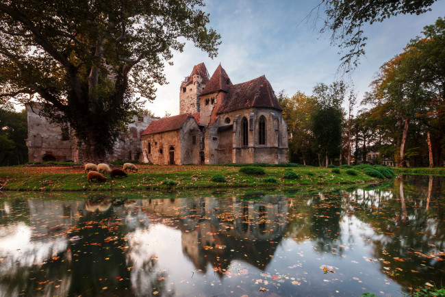 Обои картинки фото замок pottendorf австрия, города, замки австрии, развалины, pottendorf, австрия, замок, пруд