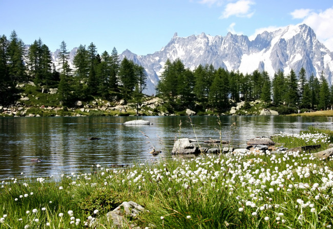 Обои картинки фото arpy lake италия, природа, реки, озера, деревья, цветы, горы, италия, озеро
