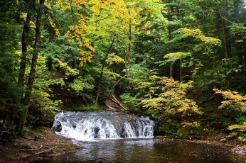Картинка природа водопады река лес деревья водопад осень
