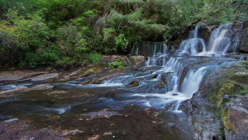 Картинка природа водопады лес водопад скалы деревья