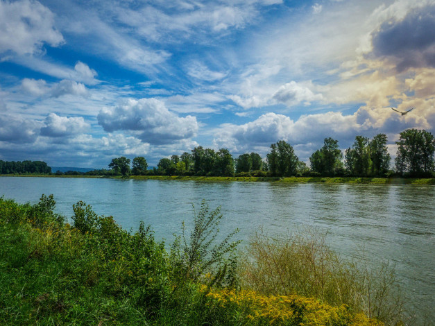 Обои картинки фото природа, реки, озера, пейзаж, облака, небо, деревья, река