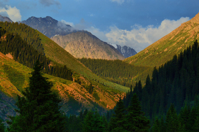 Обои картинки фото природа, горы, ущелье, джеты-огуз, деревья, киргизстан, киргизия