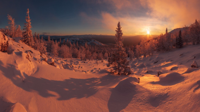 Обои картинки фото природа, зима, закат, деревья, снег