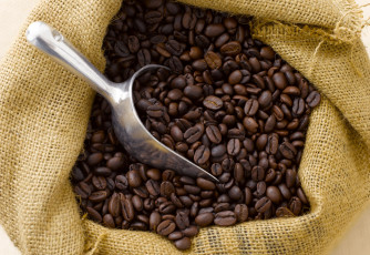 Картинка еда кофе кофейные зёрна мешок зерна лопатка