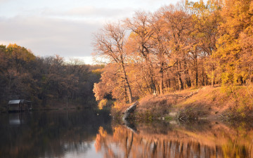 Картинка природа реки озера осень деревья