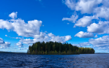 Картинка остров лесистый природа реки озера карелия беломорканал озеро лес