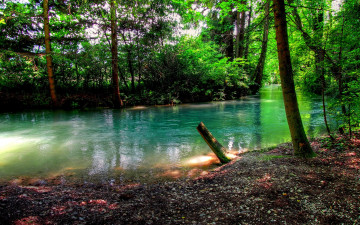 Картинка природа реки озера река лето лес