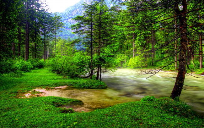 Обои картинки фото природа, реки, озера, трава, лес, река, паводок, горы