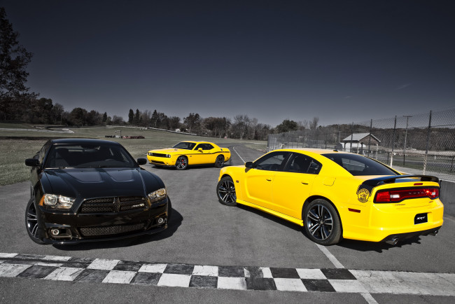 Обои картинки фото 2012, dodge, charger, srt8, super, bee, автомобили