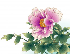 Картинка рисованные цветы пион