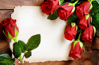 обоя цветы, розы, красные, with, love, romantic, flowers, red, roses