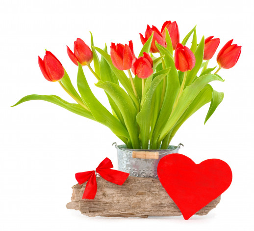 Обои картинки фото цветы, тюльпаны, fresh, tulips, bouquet, spring, heart, love, red